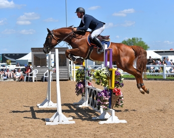 Adam Botham wins the Equitop GLME Senior Foxhunter Second Round at Arena UK
